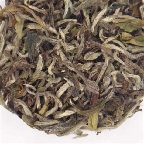 Th Blanc Du N Pal Sakhejung White Tea P O Ch