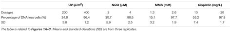 Frontiers NQO Induced DNA Less Cell Formation Is Associated With