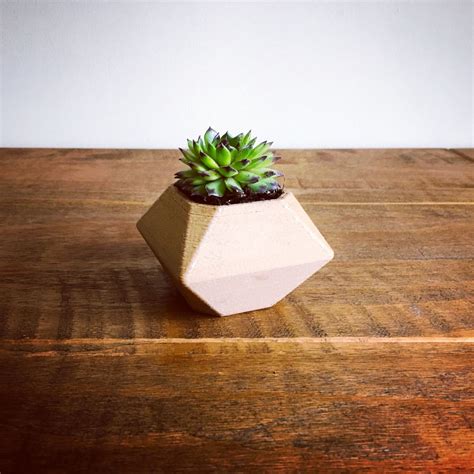 3d Printed Geometric Low Poly Succulent Plant Pot