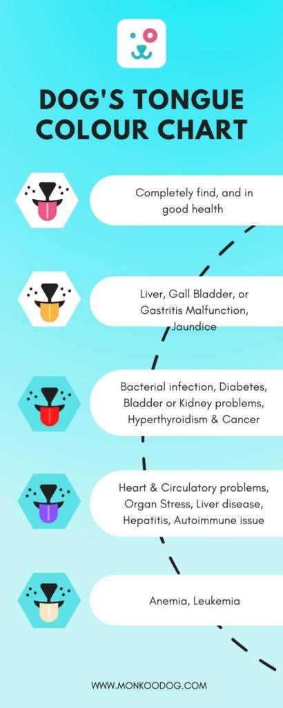 All you can learn about a dog's health by their tongue color chart