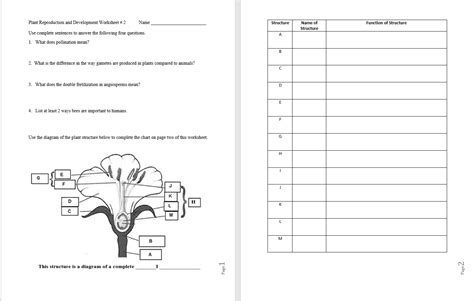 Solved Plant Reproduction And Development Worksheet 2 Chegg