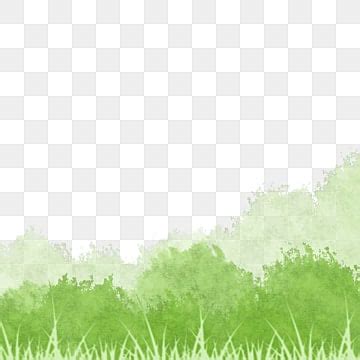 Watercolor Grass PNG Transparent Images Free Download | Vector Files | Pngtree