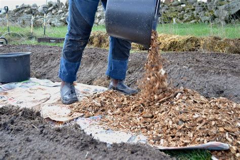 How To Make A Wood Chip Path Storables