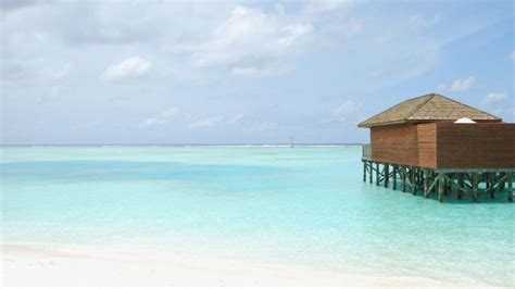 Resort Beach - Zoom Background Templates Maldives Beach, Maldives ...