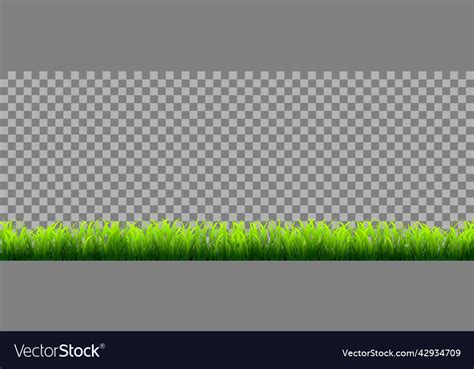 Green Realistic Grass Border Isolated Royalty Free Vector