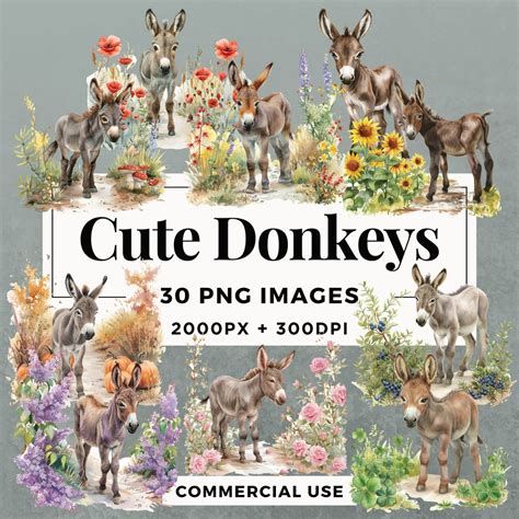 30 Cute Donkeys Clipart Pack Instant Download 30 Adorable Donkey
