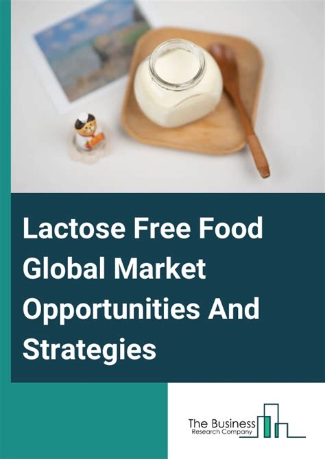 Lactose Free Food Market Size Growth Analysis Reaearch And Strategies