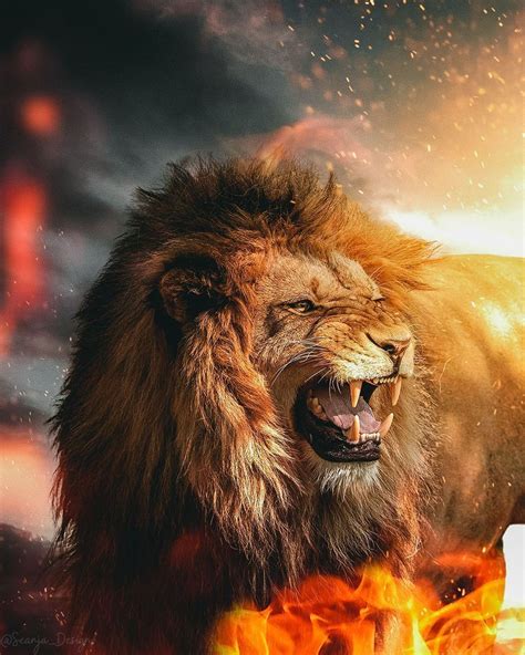 Fierce Lions Wallpapers Wallpaper Cave 48 Off