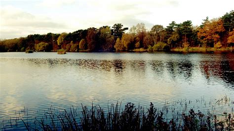 Shipley Country Park Map