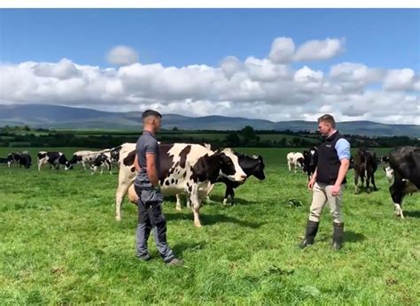 Liam Barton Posted On Linkedin
