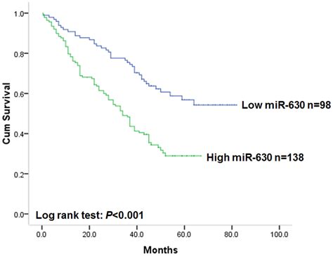 Kaplan Meier Postoperative Survival Curve For Patterns Of Patients With Download Scientific