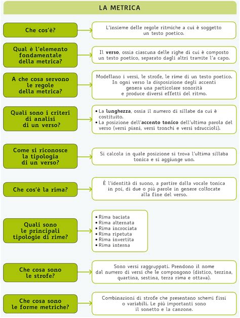 Mappa Dei Saperi Fondamentali Owl Owls