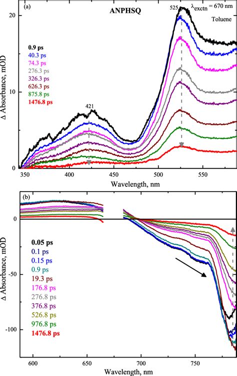 Femtosecond Transient Absorption Spectra Of ANPHSQ In Toluene Upon