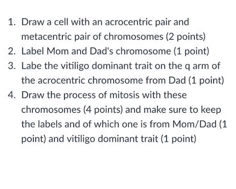 Solved 1 Draw A Cell With An Acrocentric Pair And