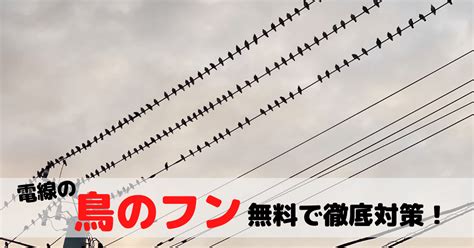 鳥のフンにもう悩まない！電線の鳥害対策徹底解説【無料】 ゆるみみハウス