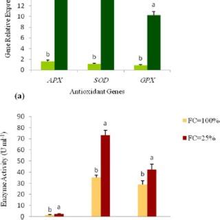 Relative Expression Level Of The Antioxidant Genes A The Antioxidant