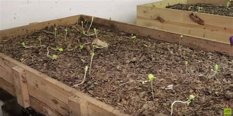 Tour a Commercial Worm Farm! - The Sustainability Box