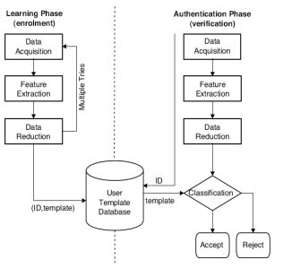 Biometric Authentication: Advanced Networking and Applications | Free ...