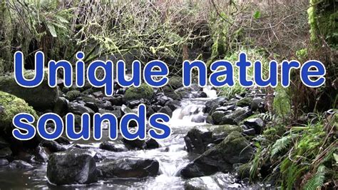 Nature Sounds Channel Trailer Youtube