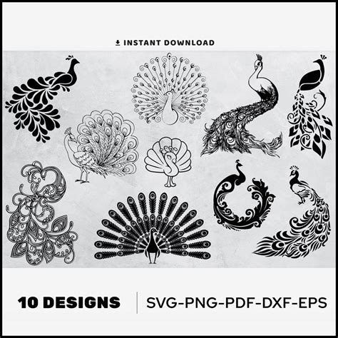 Peacock SVG Peacock Clipart MasterBundles