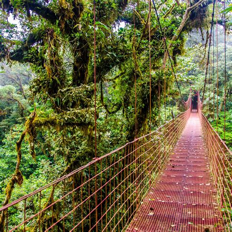Costa Rica Volcano And Coastal Rainforest — Alluring Americas