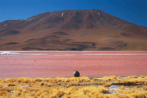 Salar De Uyuni Bol Via Onde Fica Quando Ir E Dicas De Viagem