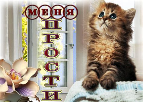 Добрая открытка с котиком Прости меня- Скачать бесплатно на otkritkiok.ru
