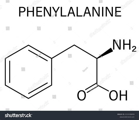 Phenylalanine Lphenylalanine Phe F Amino Acid Stock Vector Royalty