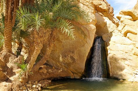 Les Plus Beaux Endroits A Visiter A Tozeur Tunisie Voyage Et Loisir