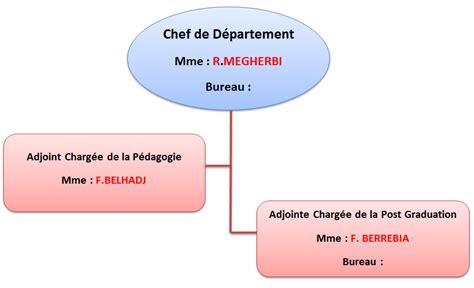 Organigramme du département Génie des Matériaux Faculté de Chimie