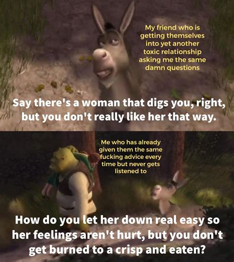 Making A Meme From Every Line In Shrek 2001 Day 383 R Shrekmemes