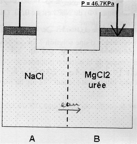 Calcul Pression Osmotique Nacl