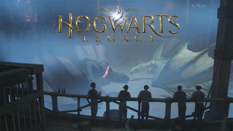 Wilderer Lager HOGWARTS LEGACY 085 FioreBo YouTube