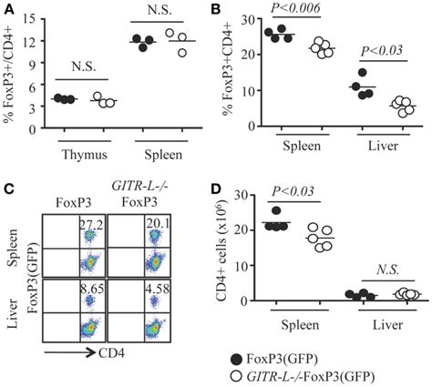 Flt3l Induced Expansion Of Treg Flt3l Fc Fusion Protein Was Injected