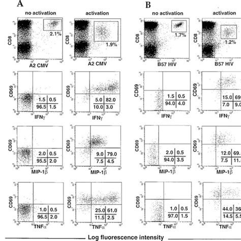 Intracellular staining for IFN γ MIP 1β and TNF α in HIV specific or