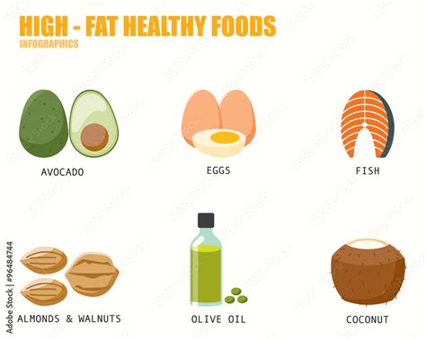 HIGH FAT HEALTHY FOODS infographics Stock Vector | Adobe Stock