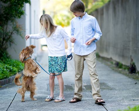 Charleston, SC Pet-Friendly Getaway | Pet Travel Guide