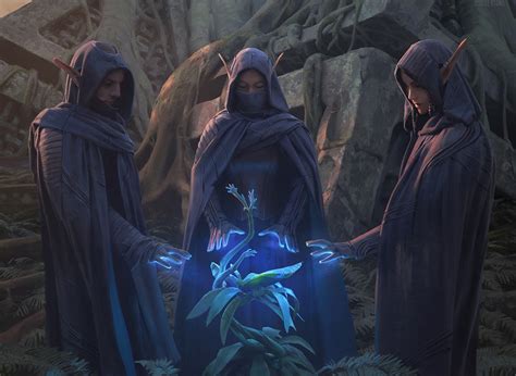 Best Druid Race 5e Arcane Eye The Dungeons And Dragons Blog