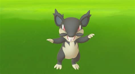 Alolan Rattata starting to appear in Pokemon GO