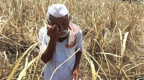 Maharashtra State Seeks Centre Intervention As Poor Crop Loan Disbursement Hits Debt Ridden