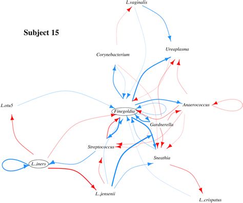 Microbial Interaction Network Min For Subject 15 Blue And Red Arrows