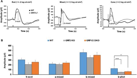 Electroretinographic Responses Of WT GRF2 KO And GRF1 2 DKO Retinas