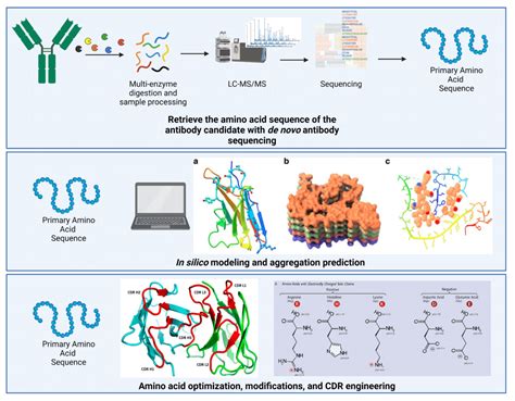 Antibody Developability Sequence And Structure Impacts Aggregation