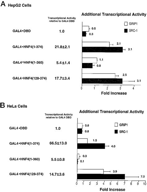 SRC 1 And GRIP1 Potentiate The Activity Of GAL4 HNF4 Fusion Proteins