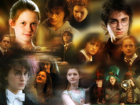 Harry And Ginny Harry And Ginny Wallpaper Fanpop