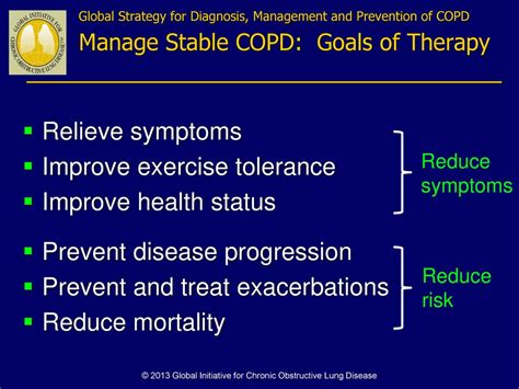 © Global Initiative For Chronic Obstructive Lung Disease Ppt Download