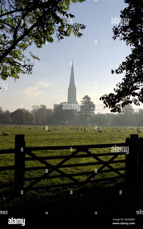 Salisbury Cathedral Wiltshire England Stock Photo Alamy