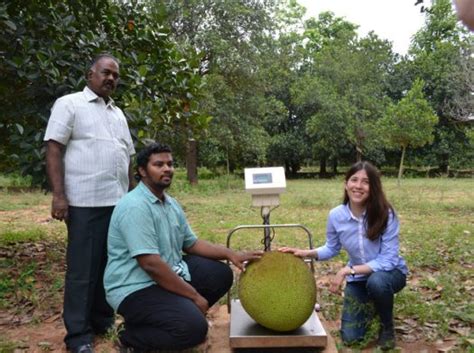 The Jackfruit Company CompanyWeek