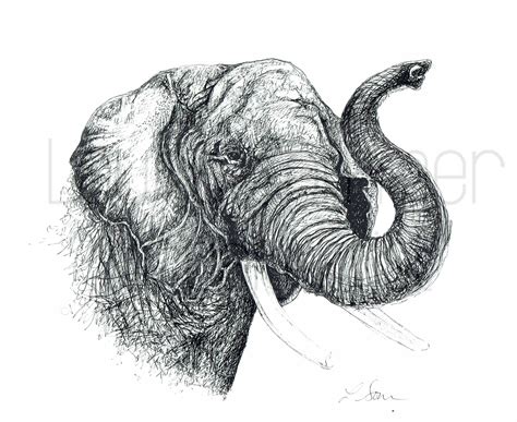 Elephant Face Illustration in Black Pen Digital (Instant Download) - Etsy