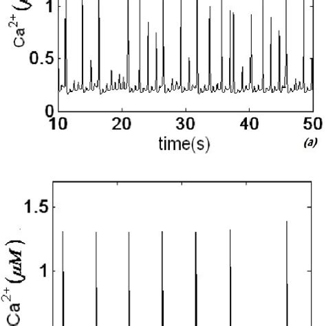 Calcium Oscillations Of A Cell In A The Stimulated Region Region